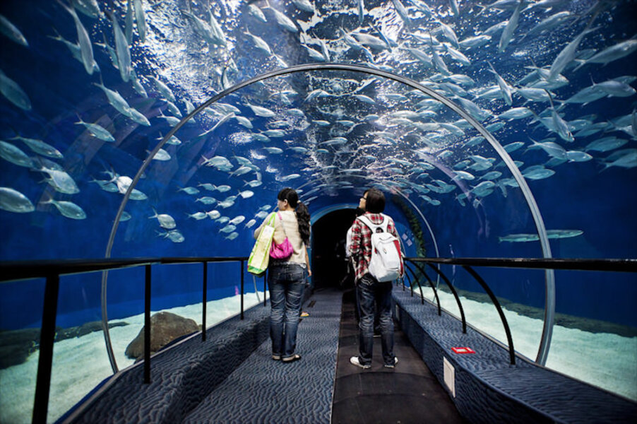 Океанариум в шанхае